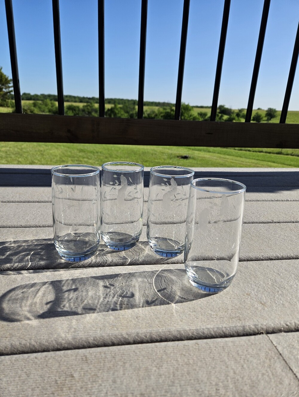 Set of 4 Princess House Heritage Etched Crystal 5” Flat Tumbler Glasses #460